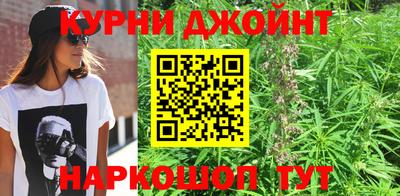 шишки Краснознаменск