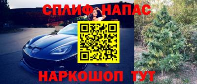 шишки Краснознаменск