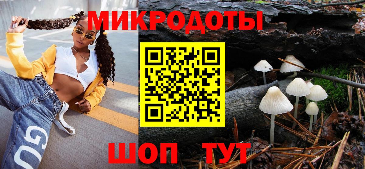 Псилоцибиновые грибы GOLDEN TEACHER  Вход с VPN  Хасавюрт 