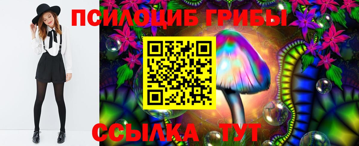 Псилоцибиновые грибы Magic Shrooms Хасавюрт